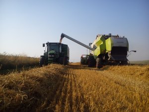 John Deere 5720 + Wielton 14t & Claas Tucano 440