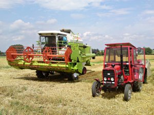 Claas Dominator 76 & Massey Ferguson 255 + Autosan D44