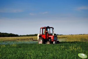 Wladimirec T-25A + Opryskiwacz