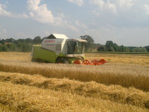 Claas Medion 310