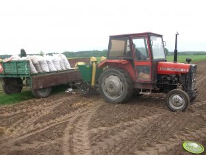 Massey Ferguson 255 + sadzarka