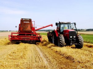 Massey Ferguson 8140 & Bizon