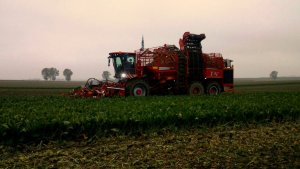 Holmer terra Dos T4 40