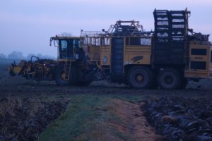 Ropa euro tiger v8-4