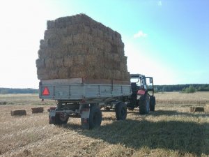 Belarus 1025.2 + D 55