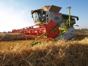 Claas Lexion 780 TT