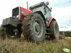 Massey Ferguson 3080 & Stal Tech U 006