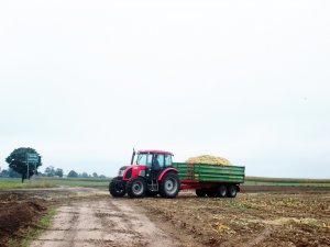 Zetor 8541 Proxima