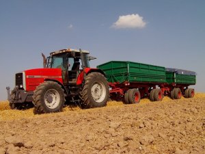 Massey Ferguson + 2x Brandys