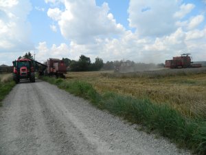 Zetor & 2x Bizon & Belarus