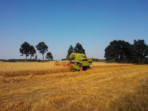 Claas Mercator S
