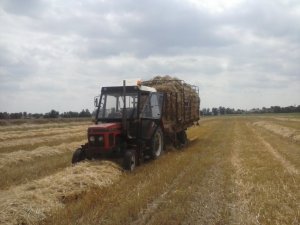 Zetor 5211 & przyczepa samozbierająca