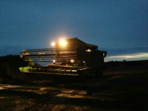 Topliner 8XL