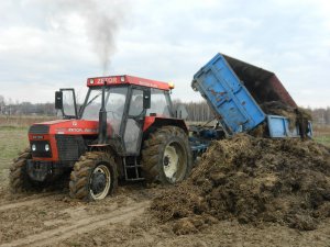 Zetor 8145