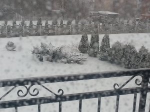 Zima.