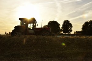 Massey Ferguson 3080