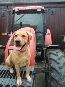 Zetor Forterra 11441