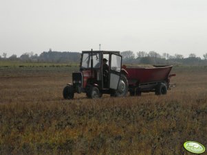 Massey Ferguson 255 & Rozsiewacz