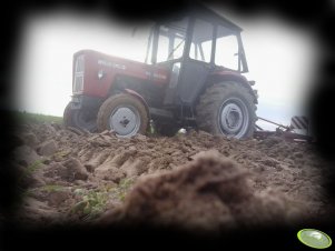 Ursus C-360 & Kultywator