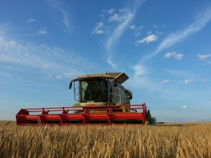 Claas Lexion 660