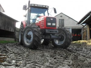 Massey Ferguson 6260