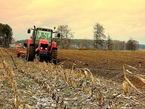 Massey Ferguson 5465 + GB