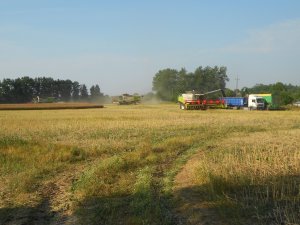 3x Claas Lexion 600