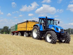 New Holland T7530 + wielton + wrfama