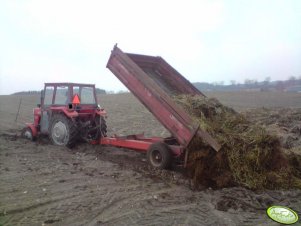 Massey Ferguson 255 + przyczepa