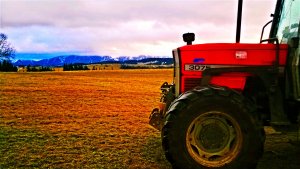 Massey Ferguson 3075