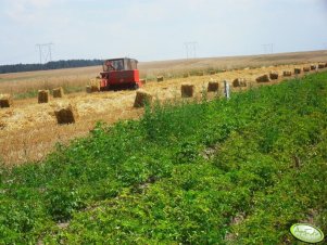 Massey Ferguson 255 + Simpa Z-224