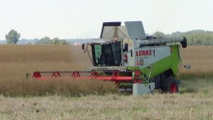 Claas Lexion 480