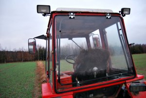 Nowa szyba tylna Wladimirec.