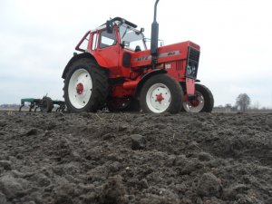MTZ 80