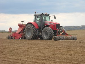 Massey Ferguson 7495 + Horsch Express 3TD