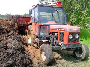 Zetor 7711 + Przyczepa