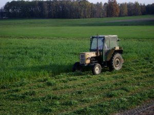 Ursus C-355 + kosiarka rotacyjna z-173