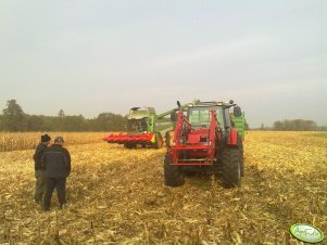 MF 5435 + Fendt