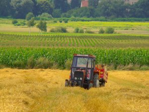 Ursus 3512 + Metal Fach T703