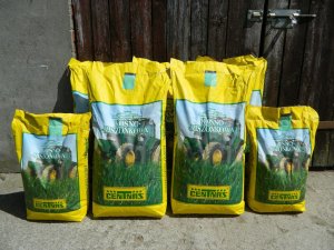 Mieszanka traw KOŚNO-KISZONKOWA