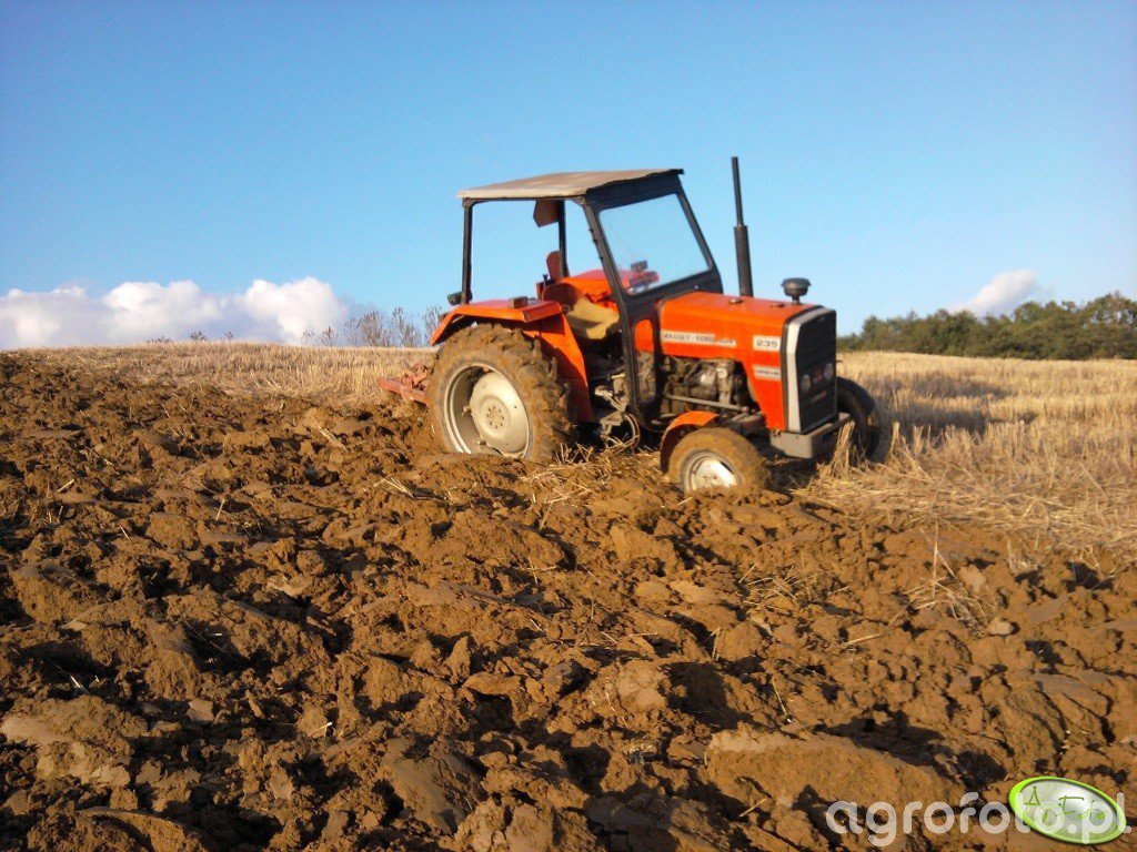 Obraz Ciagnik Mf 235 Id320320 Galeria Rolnicza Agrofoto 1920