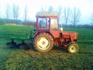 T 25 & Demarol zielonki