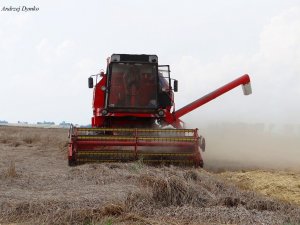 Bizon Rekord Z058