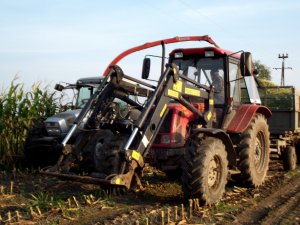 MTZ Belarus 952