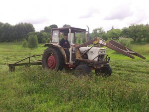 David Brown 995 i kosiarka rotacyjna Z042