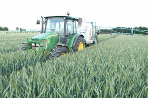 Pryskamy Pszenżyto Borwo 07.06.2014