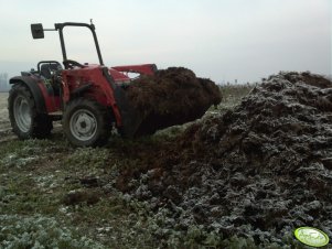 MF 2415