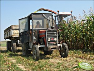 MF 255 & Fiatagri Hesston 7715