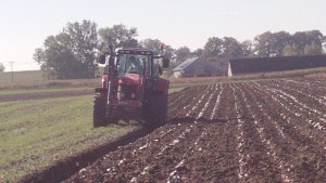 Massey Ferguson 5465