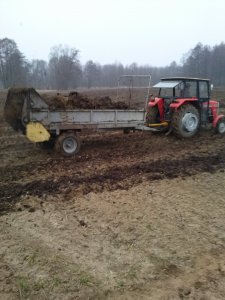 Massey Ferguson 255 + Rozrzutnik T032